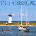 The Vineyard